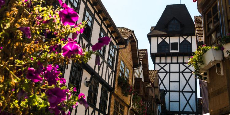 Construções em estilo enxaimel com detalhes em madeira, flores roxas em primeiro plano e céu claro ao fundo de Campos do Jordão.