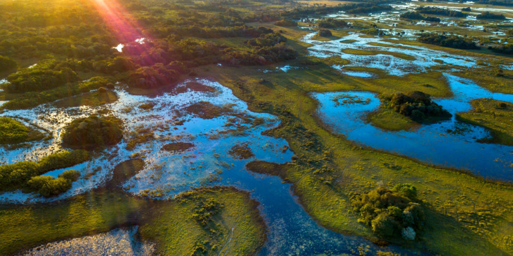 Fotografia aérea do Pantanal, Brasil, mostrando uma vasta paisagem com áreas alagadas de água azul clara, vegetação verde exuberante, e um brilho solar no canto superior esquerdo da imagem.
