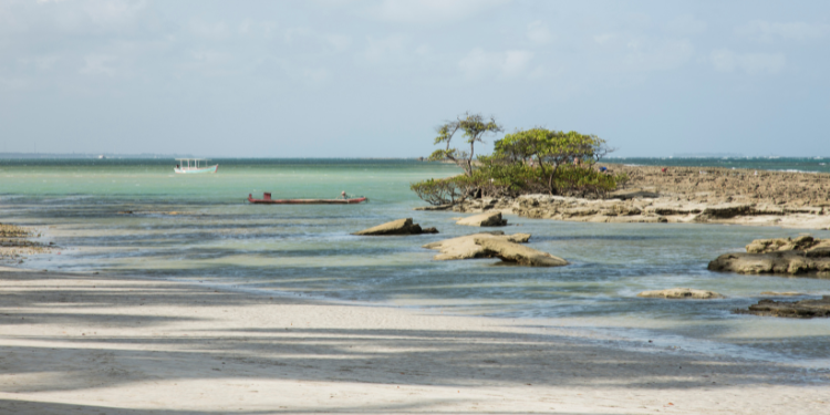 Paisagem da Praia dos Carneiros em Porto de Galinhas, mostrando a maré baixa com formações rochosas, vegetação em ilhota, barcos na água e um céu claro.