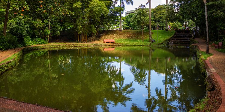 Um lago sereno e verde-escuro no Bosque dos Buritis, em Goiania, cercado por uma rica vegetação de árvores e folhagens densas, com um caminho de terra batida ao redor e escadas de pedra subindo em uma das margens.