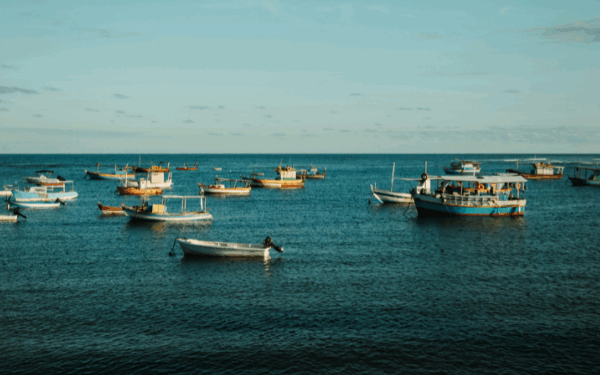 Praia do Forte: Paraíso Sustentável da Bahia