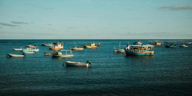 Praia do Forte: Paraíso Sustentável da Bahia